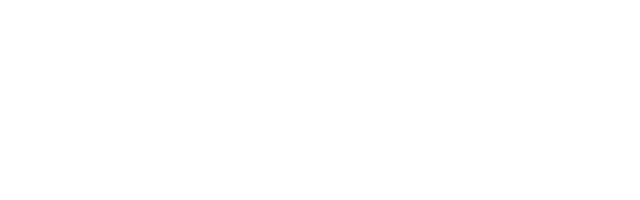 Aelion CRM